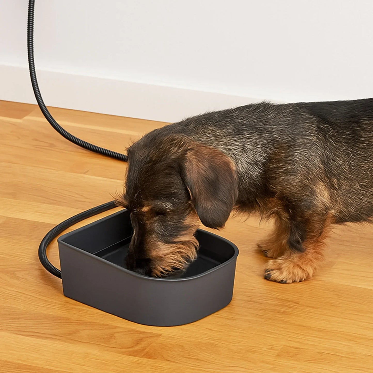 1L Pet Heated Bowl Hanging Dog Water Bowl Plastic Heated Dog Bowl for Rabbits Dogs Cats and All Breed Sizes Pet Accessories