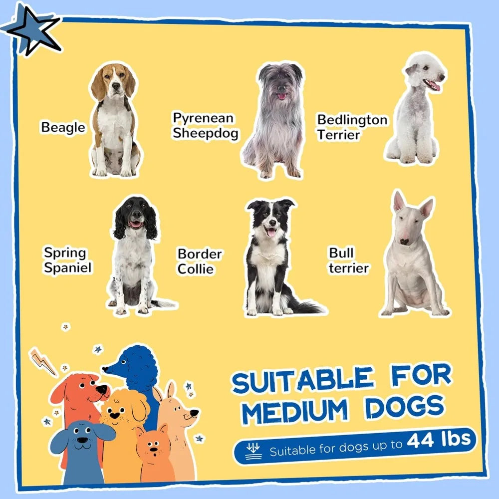 Outside Cabin-Style Wooden Dog House for Large Dogs with Openable Roof & Giant Window, Outdoor & Indoor Big Dog House, Asphalt