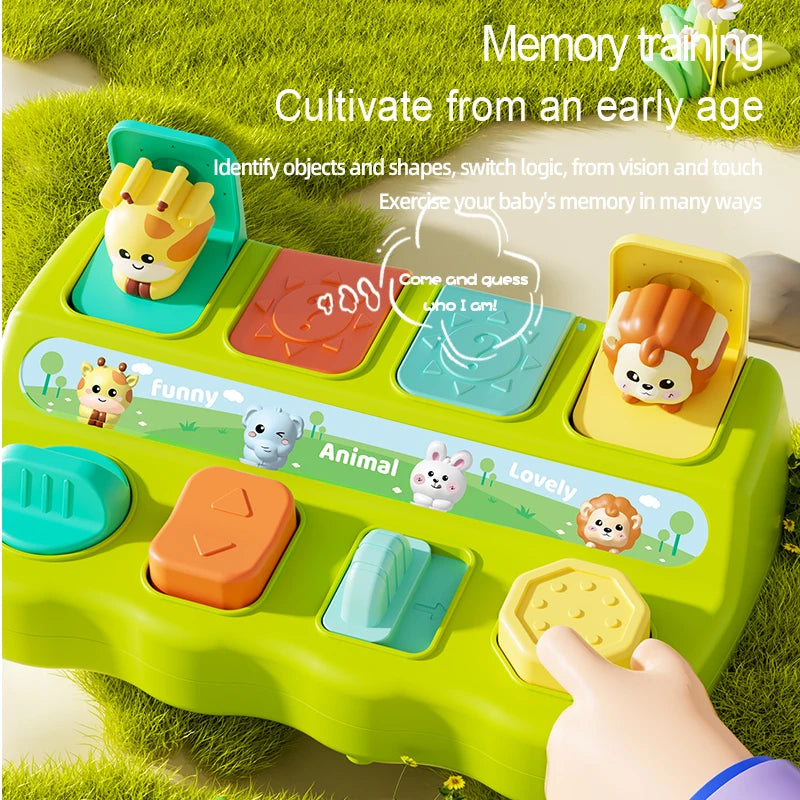 Interactive Pop Up Animals Toys Kids Hide Seek Switch Box 6 12 Months Cause and Effect Toys Montessori Development Sensory Toys
