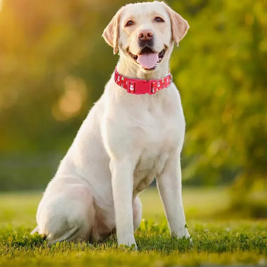 Amaz Hot Selling Christmas  Pulling Rope Set Christmas Dog Rope Printed Santa Claus Dog Collar Harness for a dog Spiked collar