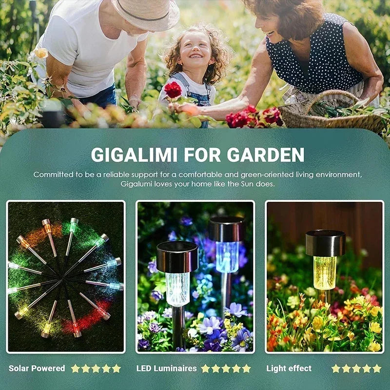 Solar Outdoor Lights Garden Lamp Solar Powered Waterproof Landscape Path Outdoor for Yard Backyard Lawn Patio Decorative Plant